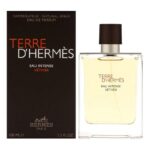 Hermes Terre D Hermes Eau Intense Vetiver M 100ml EDP