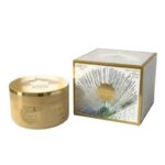 Isabelle Creme Pote Afeef 200ml